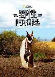 《国家地理 野性阿根廷》：震撼！绝美风光，带你领略南美狂野之美！