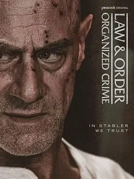 《法律与秩序：组织犯罪 第五季》燃爆回归！深度解析剧情走向与角色命运，看正义如何制裁黑暗！