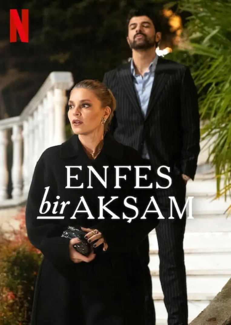 《权欲阶梯》：步步惊心的权力游戏，看凡人如何玩转高层政治的黑暗艺术！