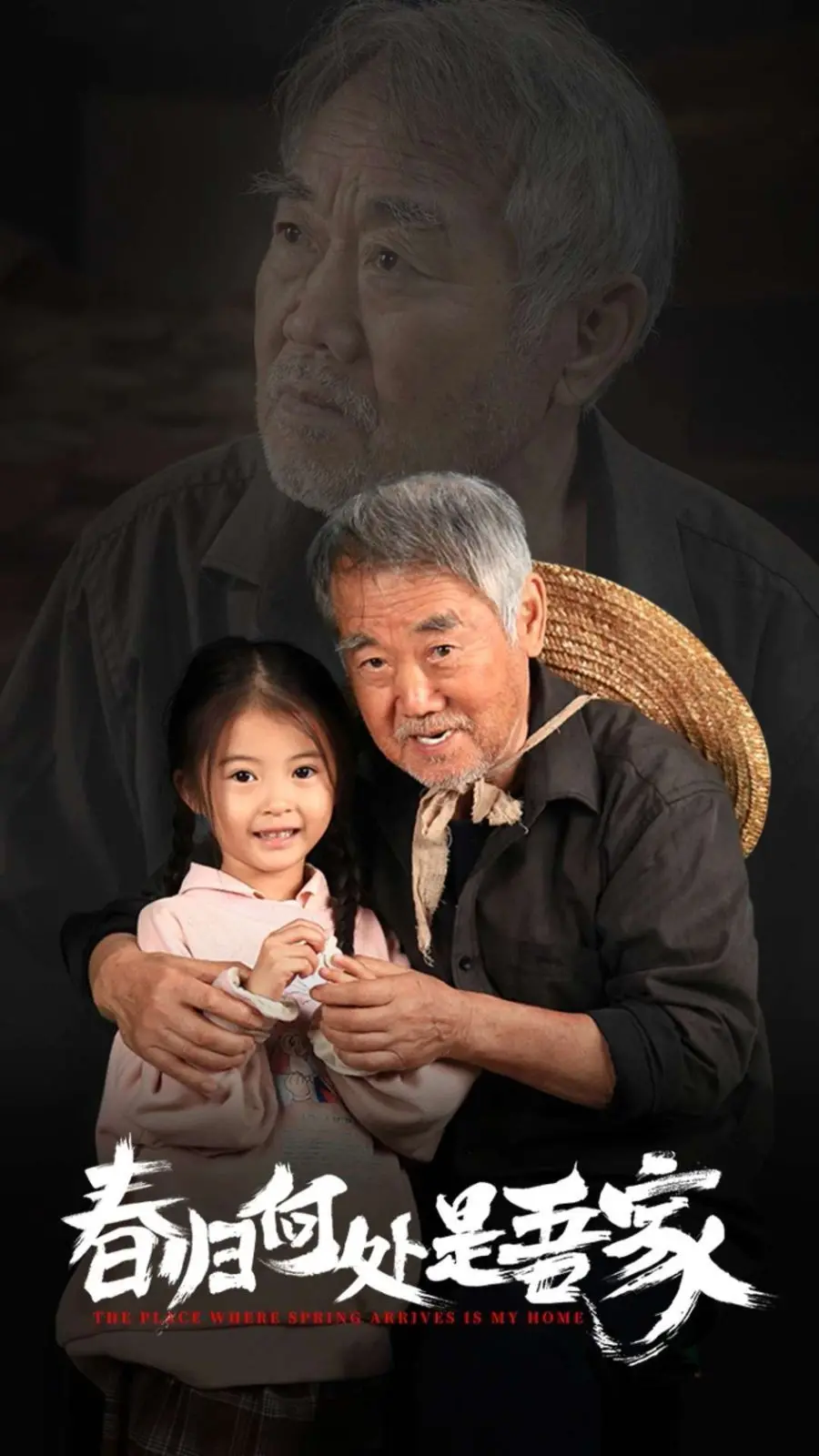 《春归何处是吾家》：情感漩涡中的家庭救赎，拷问人性的伦理之殇